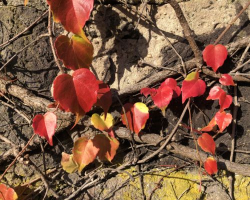 Gut gegen den Herbstblues