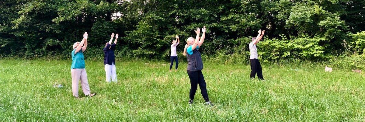 Pfauenschwanz (Tai Chi)