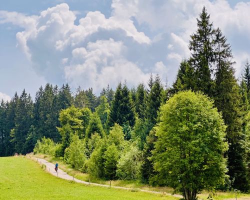 Sommerfrische für Körper und Geist