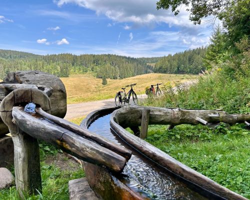 Sommerfrische für Körper und Geist
