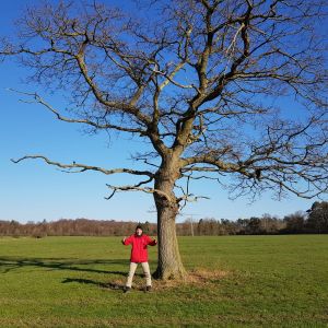 Stehen wie ein Baum (Qi Gong)