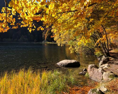 Gut gegen den Herbstblues