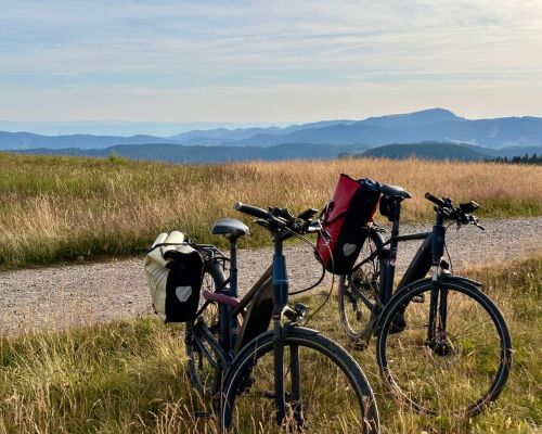 Sommerfrische für Körper und Geist