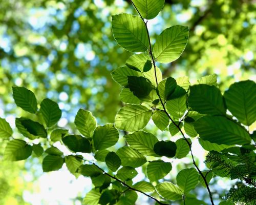 Kurs-Sommerpause 2026 vorbei