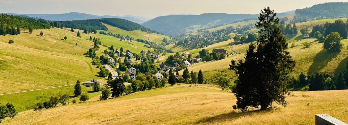 Tal mit gelber Wiese und Dorf