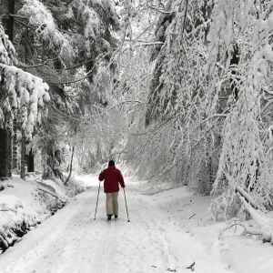 Entschleunigung beim Langlaufen im Taunus 2020