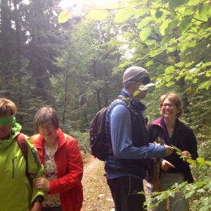 "Kraftplatz Natur - Waldbaden und Qi Gong": Das Schärfen der Sinne