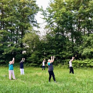 Pfauenschwanz (Tai Chi Ch'uan)