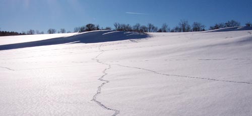 Winterlandschaft