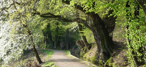 Urselbach Weg