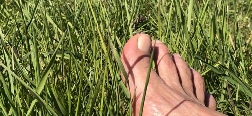 Fuß im Gras