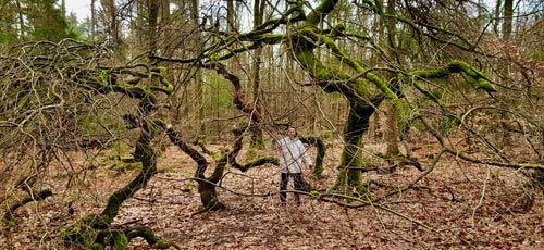 Stephanie im Wald